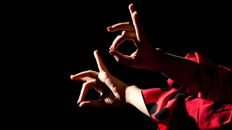 flamenco show marbella
