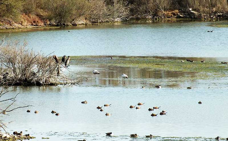 Desembocadura del río Guadalhorce