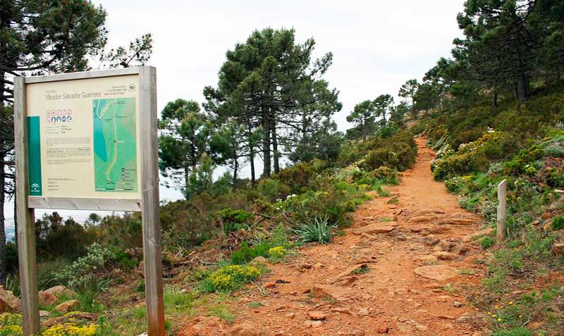 Los reales de sierra Bermeja