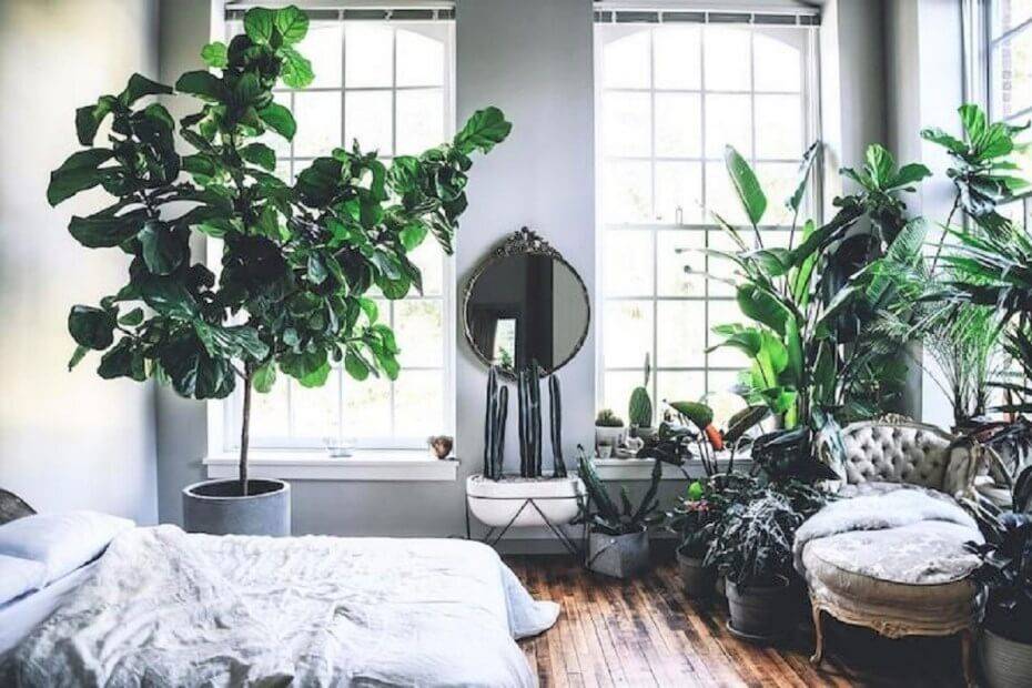Decoración de interiores con estilo Jungle