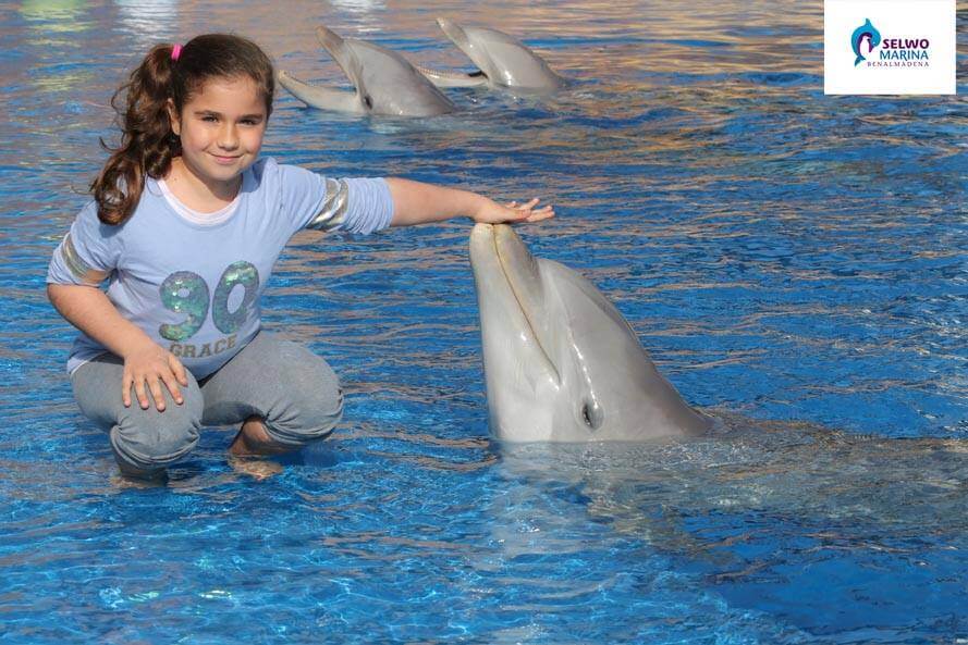 Niña en Selwo Marina con un Delfin