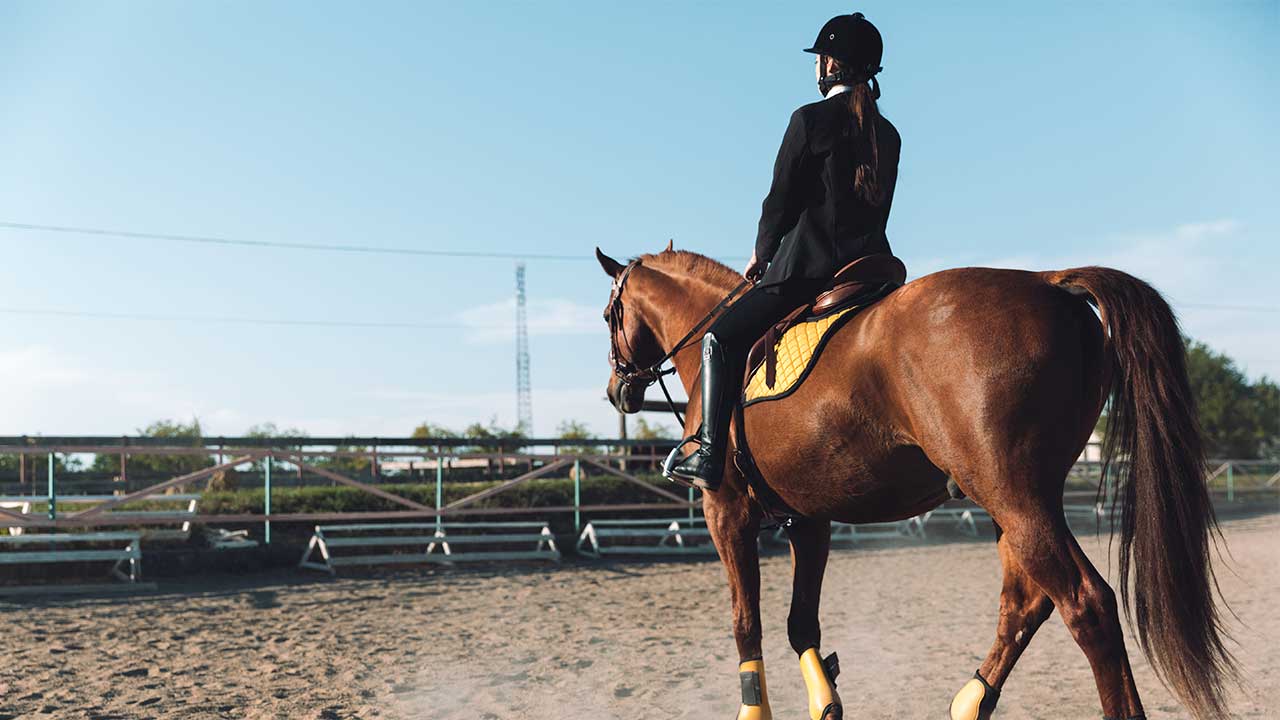 Amazona en un hipodromo