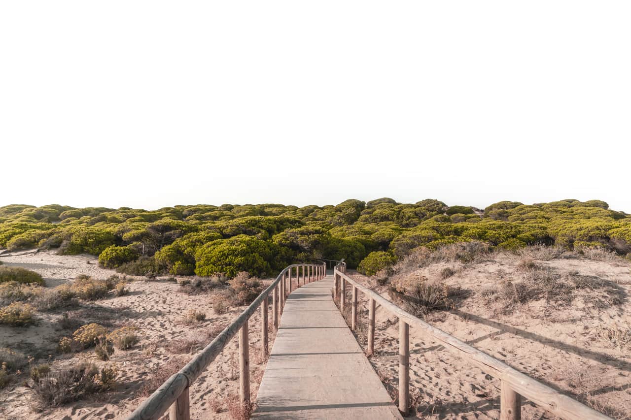buying Flat in Puerto Real
